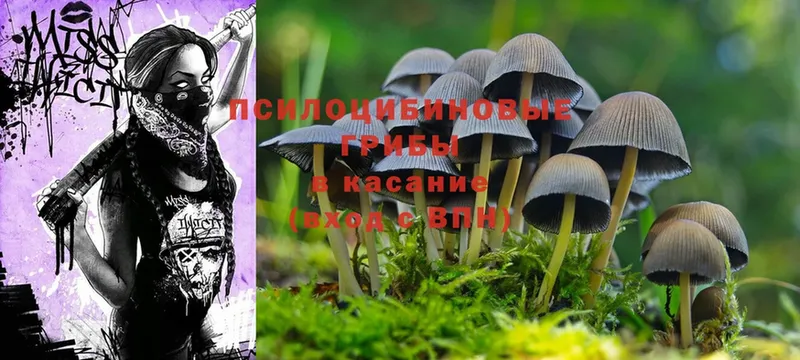 Псилоцибиновые грибы MAGIC MUSHROOMS  Заволжск 